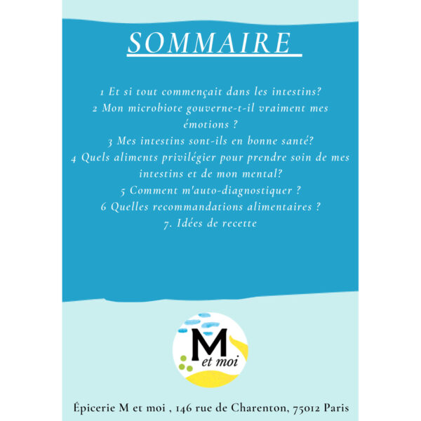 sommaire e book